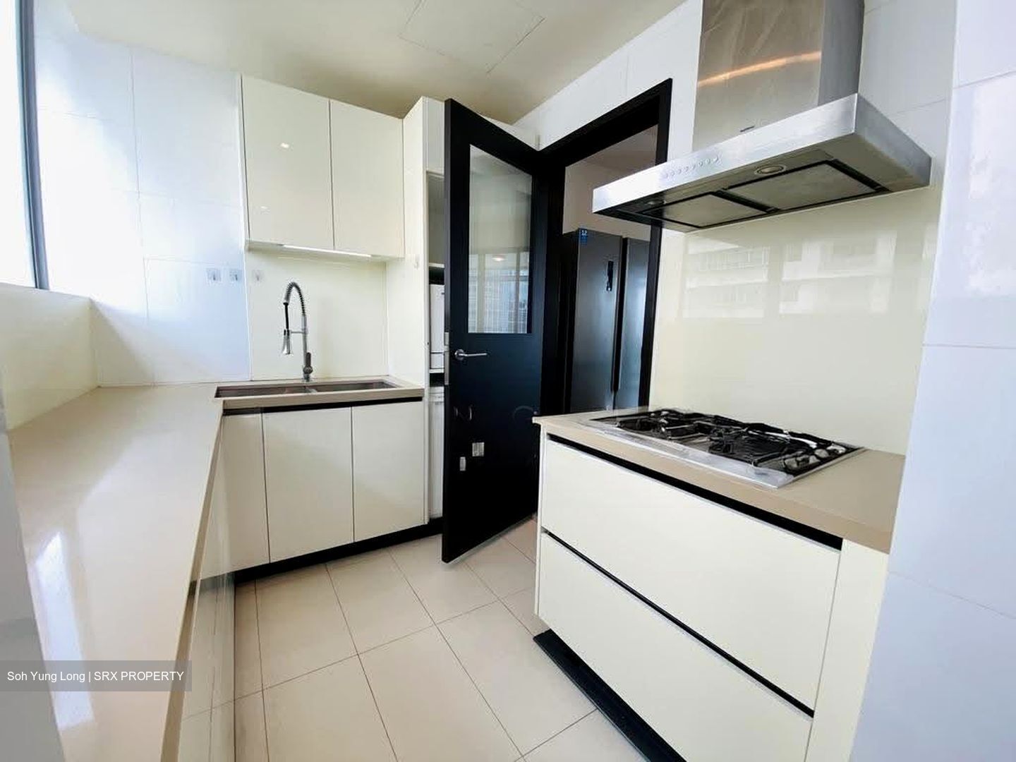 Lincoln Suites (D11), Condominium #628904171